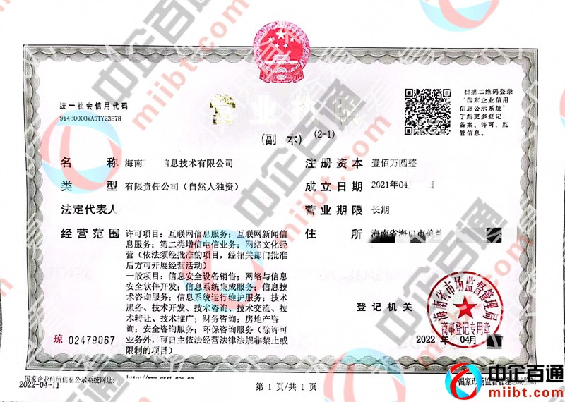 海南信息技術(shù)公司營業(yè)執(zhí)照樣例